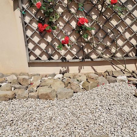 Border House Apartment Gorizia Exterior photo